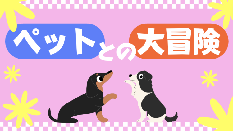 カワイイがいっぱい！ワンダーランド